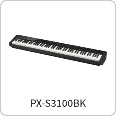 PX-S3100