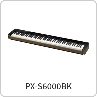 PX-S6000